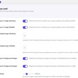 Kkey Woocommerce Speed Optimizer 11