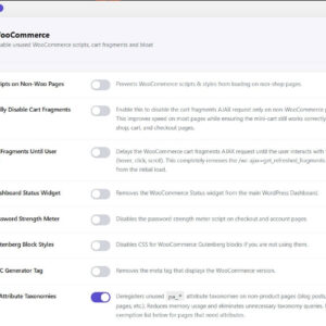 Kkey Woocommerce Speed Optimizer 12